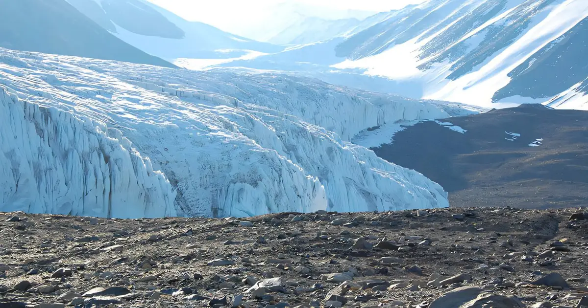 Drones, satellites and AI help scientists watch over Antarctica's smallest lifeforms