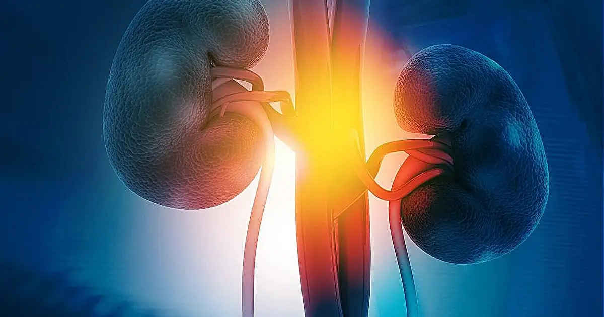 Early complications common in older kidney transplant recipients