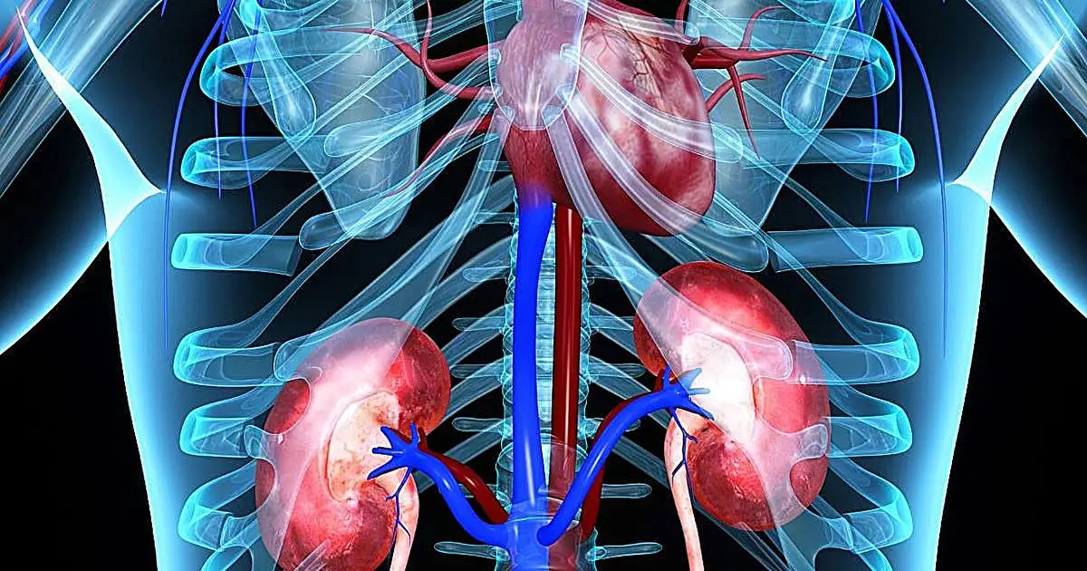 Almost 1 in 3 adults develop cardiorenal disease or die within 5 years of type 2 diabetes diagnosis