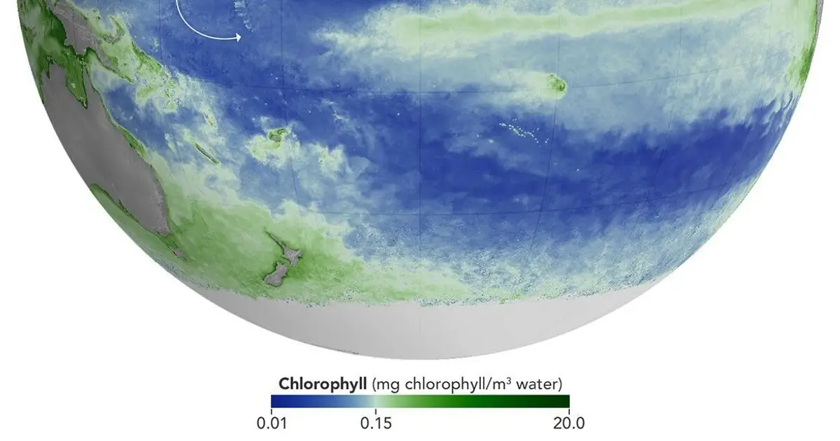 El Niño alters marine life in the Pacific