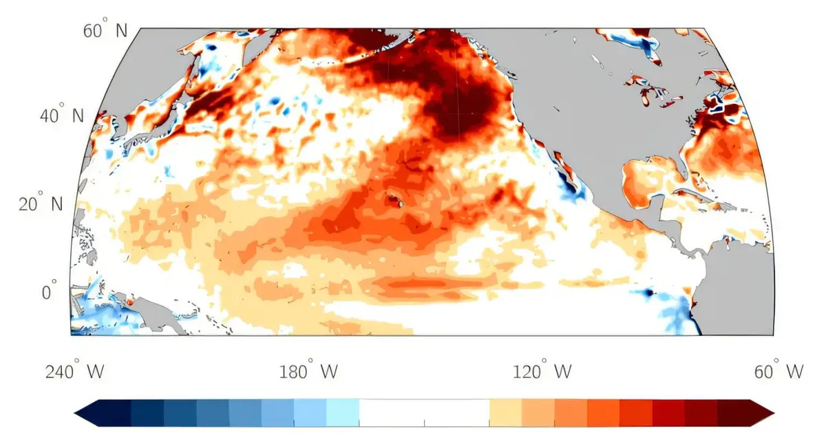 El Niño is back, and ocean temperatures are already near record highs—that can spell disaster for fish and corals