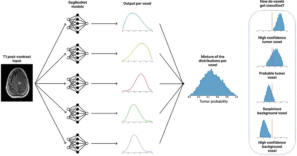 Enhancing confidence in AI enhanced brain tumor imaging by measuring uncertainty