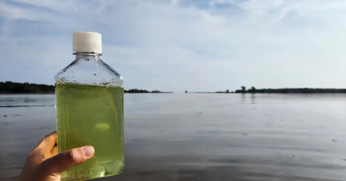 Estuary water quality trends have $100M implications, researchers find