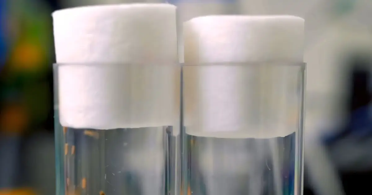 Activating 'energy saver' mode significantly extends lives of animals in preclinical study