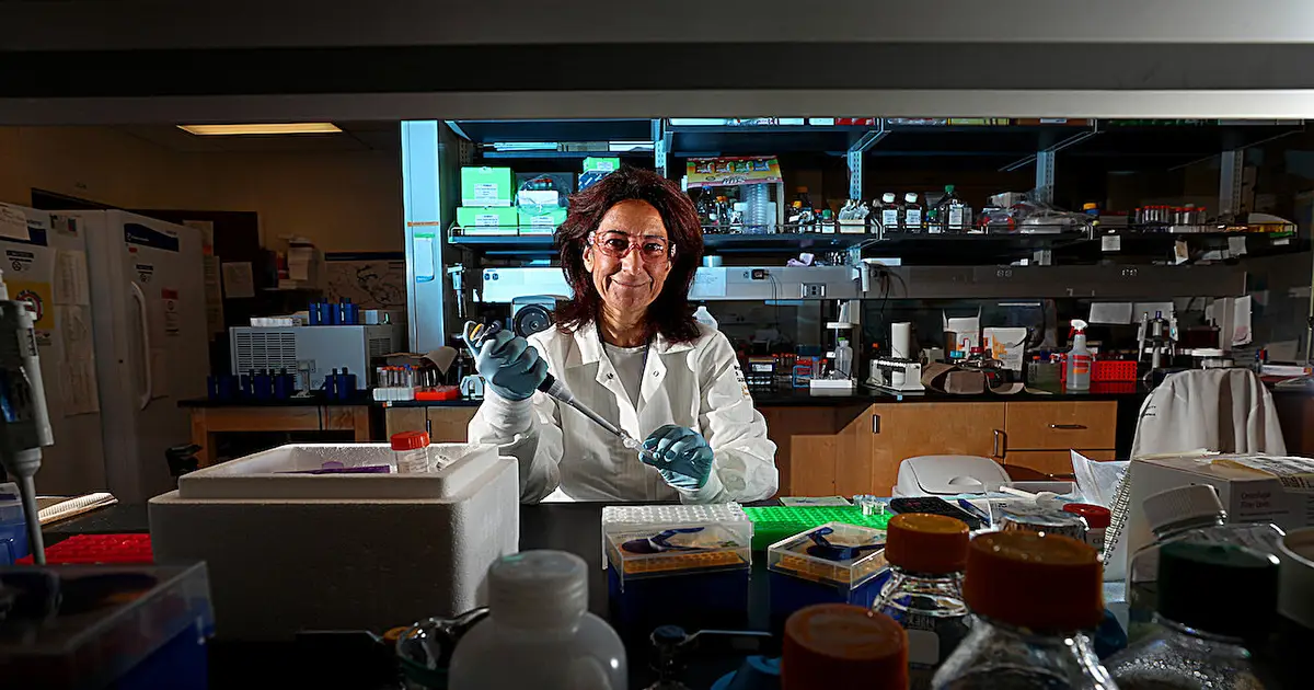 Pine bark and sponge compounds could counter drug-resistant malaria and babesiosis