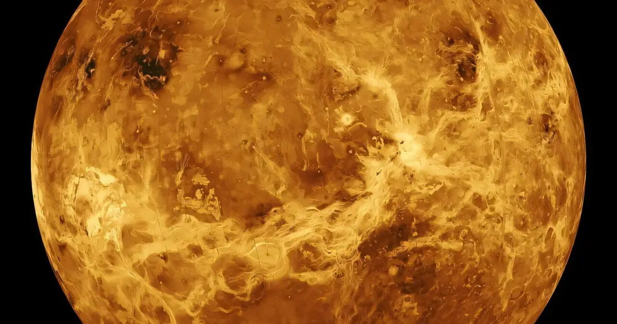 Finding Venus zone planets with PLATO will show us how habitable planets evolve