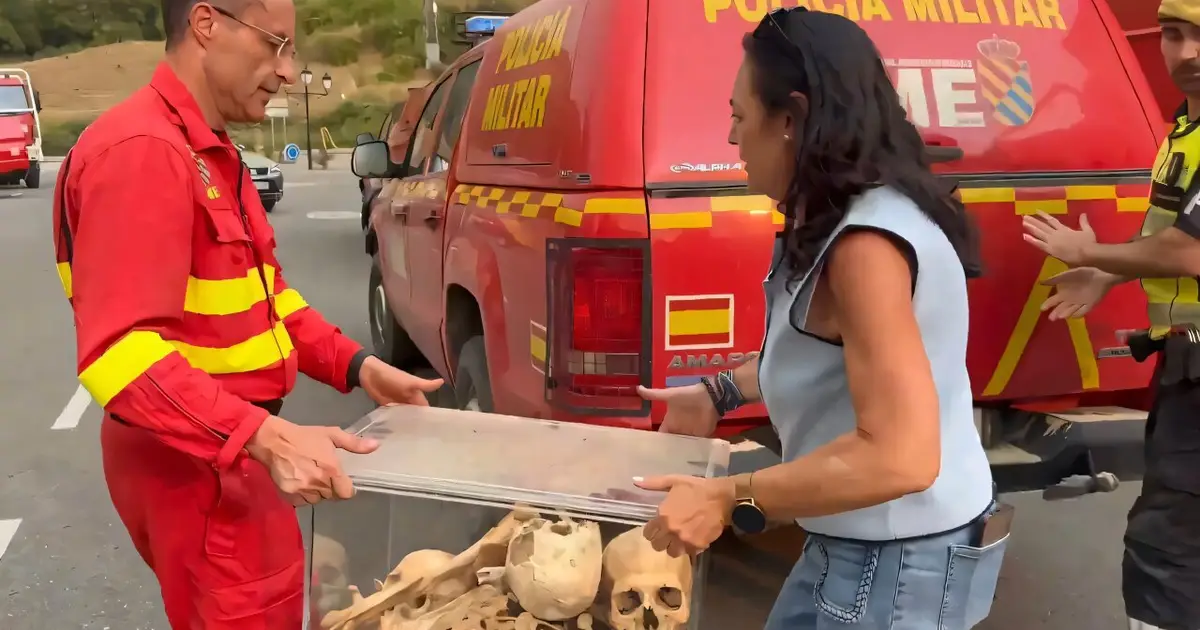 Bones of medieval kings saved from Spanish wildfire