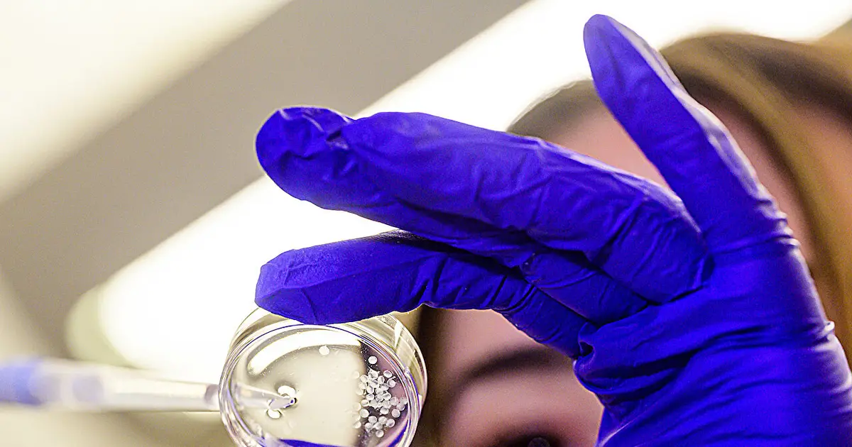 First-in-human trial demonstrates promise of implantable cytokine factories for ovarian cancer