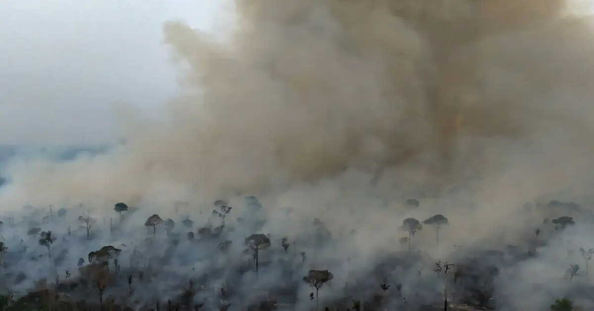 Fires in Brazil's Amazon dropped to historic low in 2025