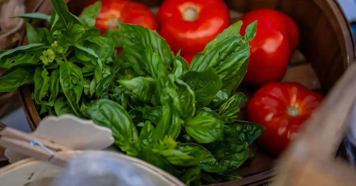 Study: Food prescription programs for food-insecure older adults work best when fresh food is delivered to their door