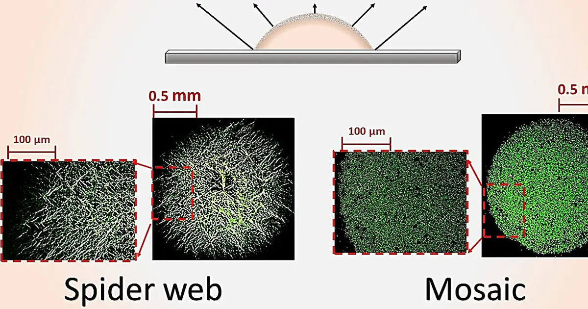 From spider webs to mosaics: How nanosheets of graphene oxide control the patterns left by a drying droplet