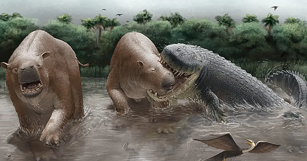 Giant crocodylians dominated the food chain in Miocene South America, fossil evidence suggests