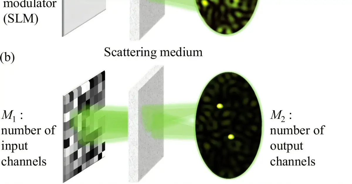 Giant fluctuations of focused light reveal hidden correlations in opaque materials