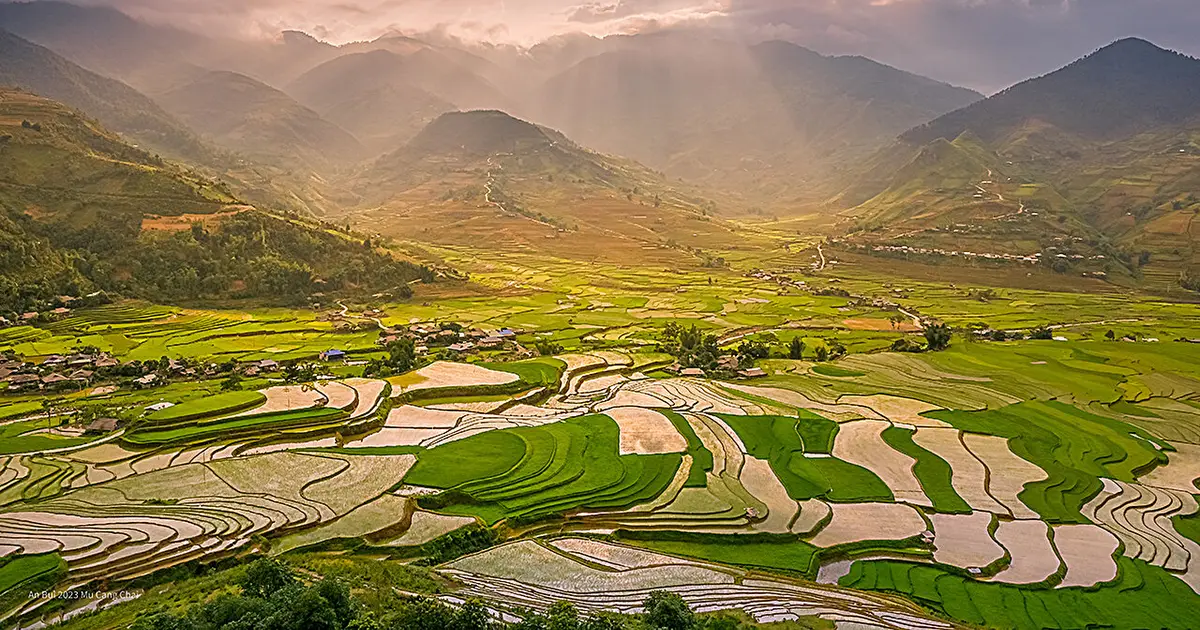 Global rice production has nearly doubled over 50 years despite climate change