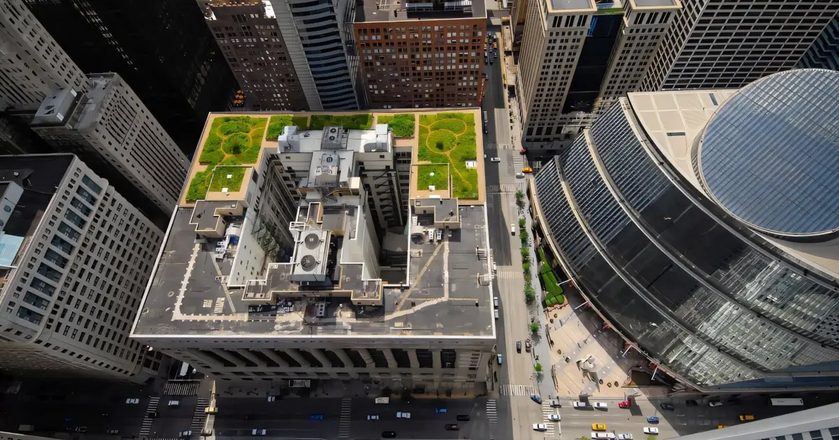 Green roofs can help cool cities in the summer heat, but building them is only the first step. Many don't survive