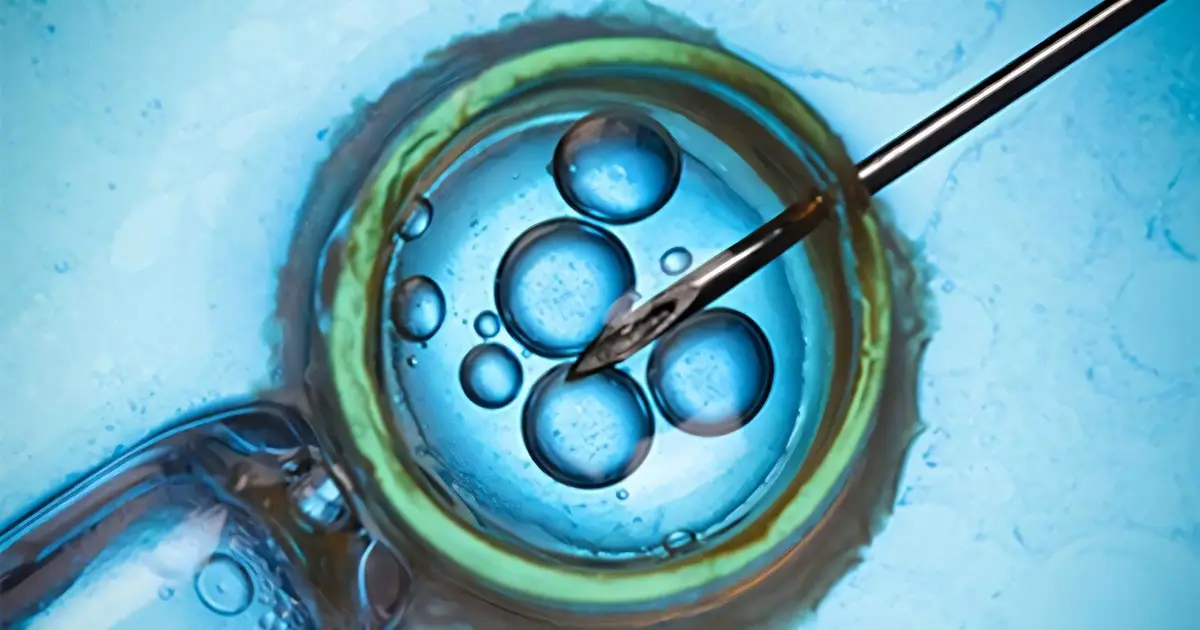 High fertility costs push Americans abroad for IVF treatment