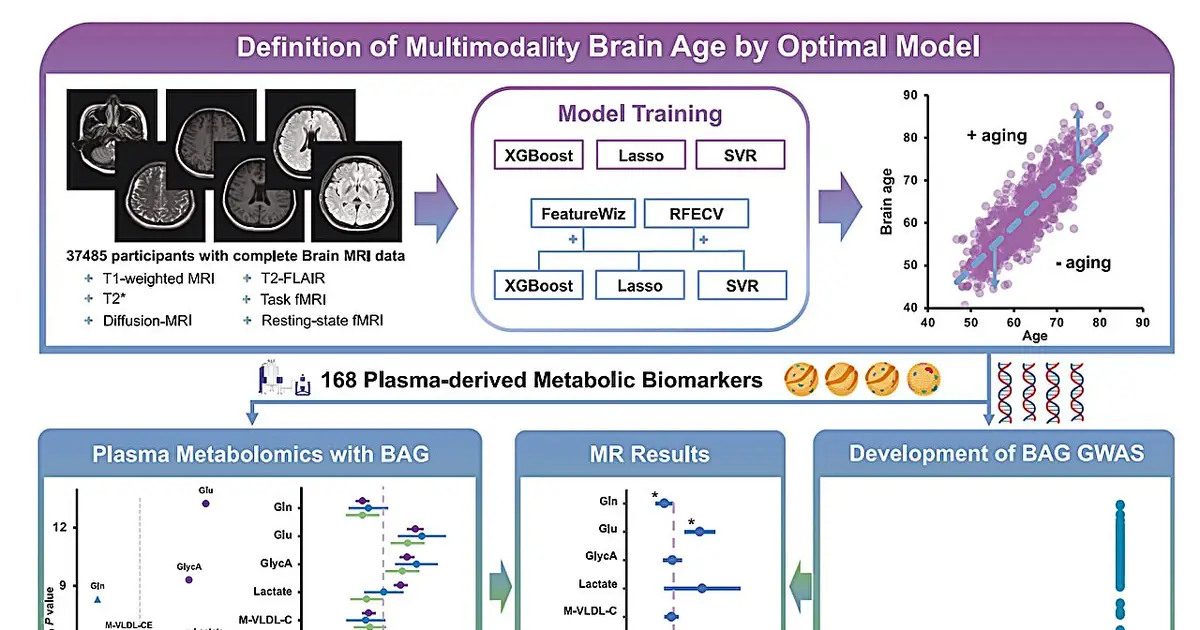 Higher blood glucose levels linked to faster brain aging