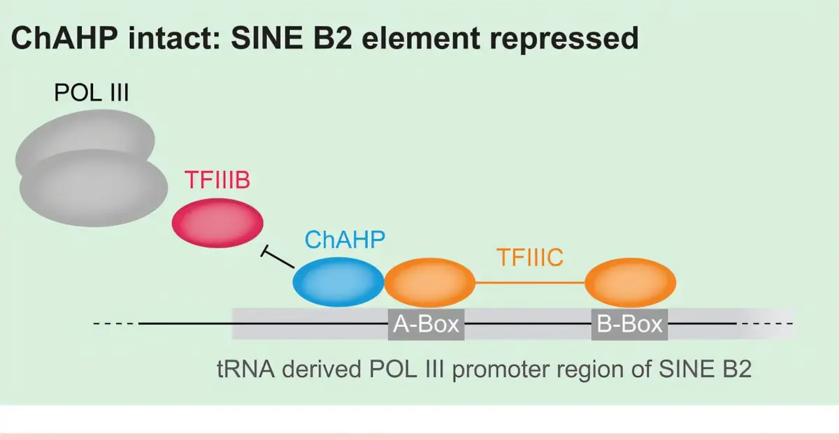 How cells keep genomic hitchhikers under control