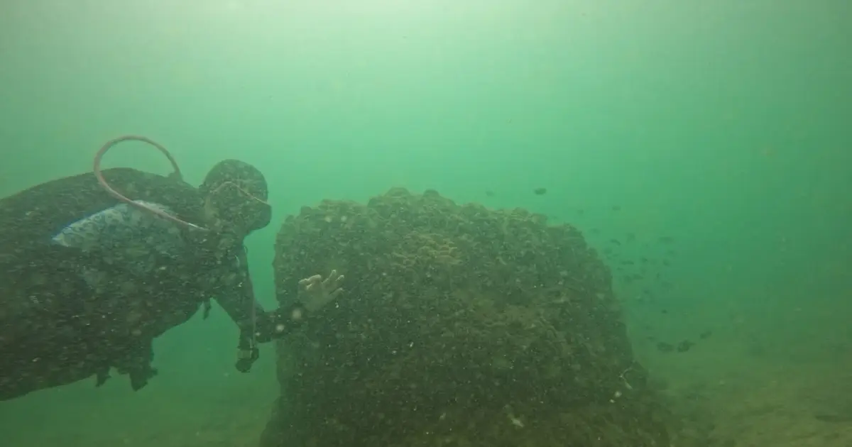 Combining science and community knowledge could shape coral reef conservation in Indonesia