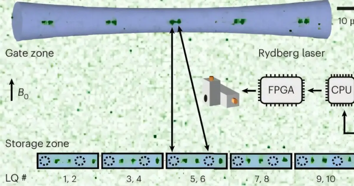 How quantum circuits based on neutral atoms could find and fix errors