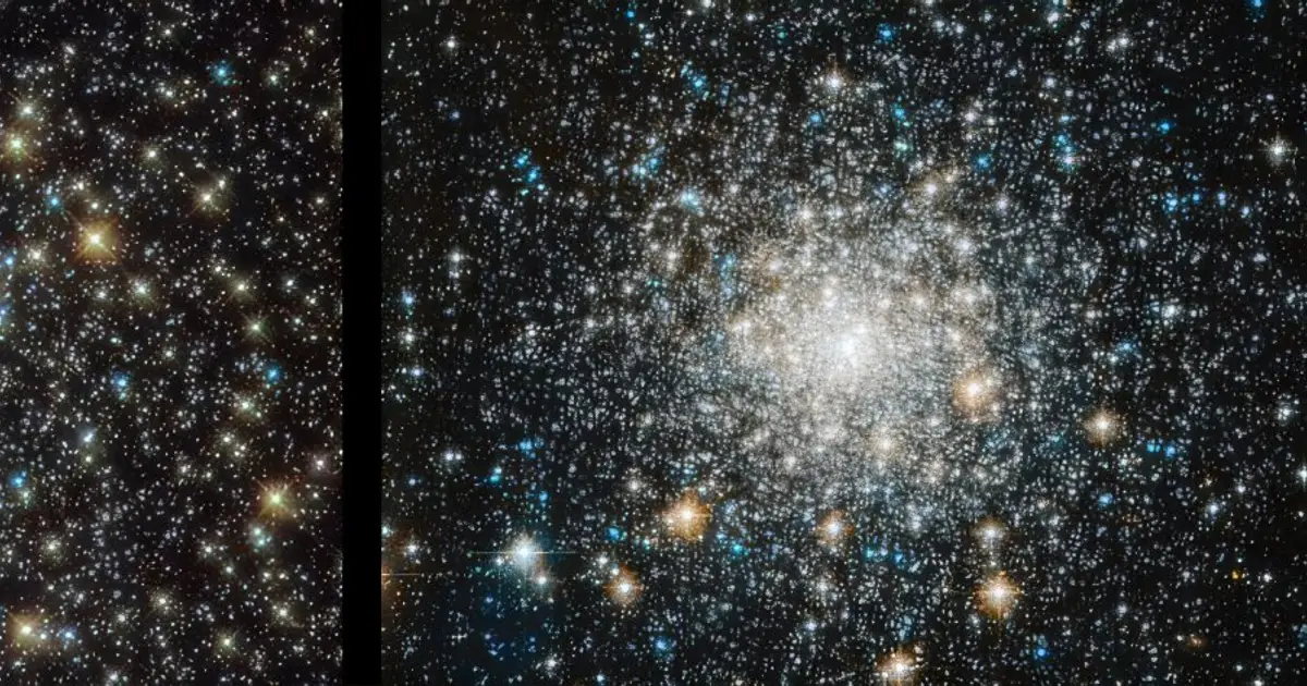 Hubble uncovers the secret of blue straggler stars that defy aging