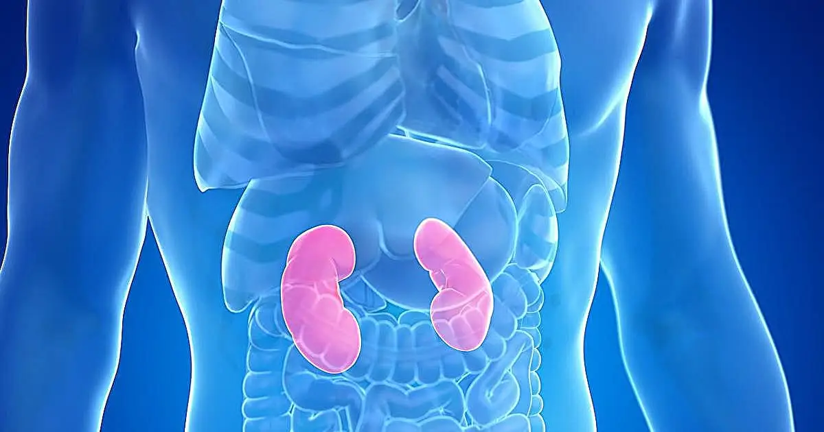Hyperuricemia predicts mortality with chronic kidney disease