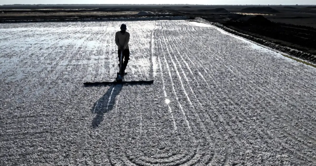 No trees, no fans: surviving extreme heat in India's salt pans
