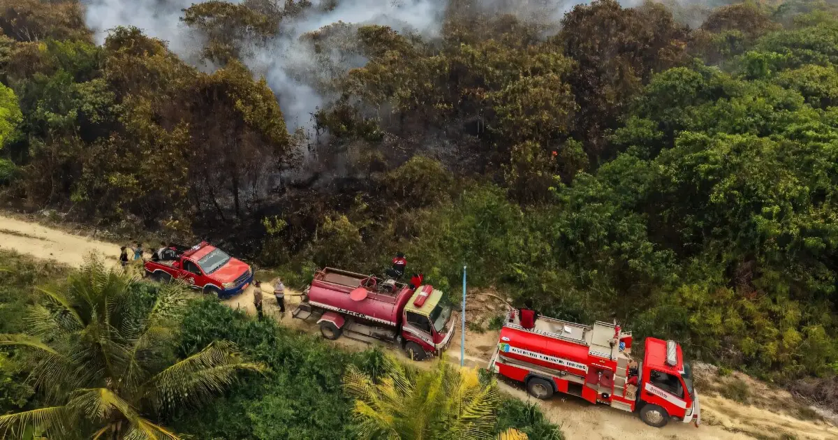 'Truly scared': Blazes outpace firefighters in Indonesian Borneo
