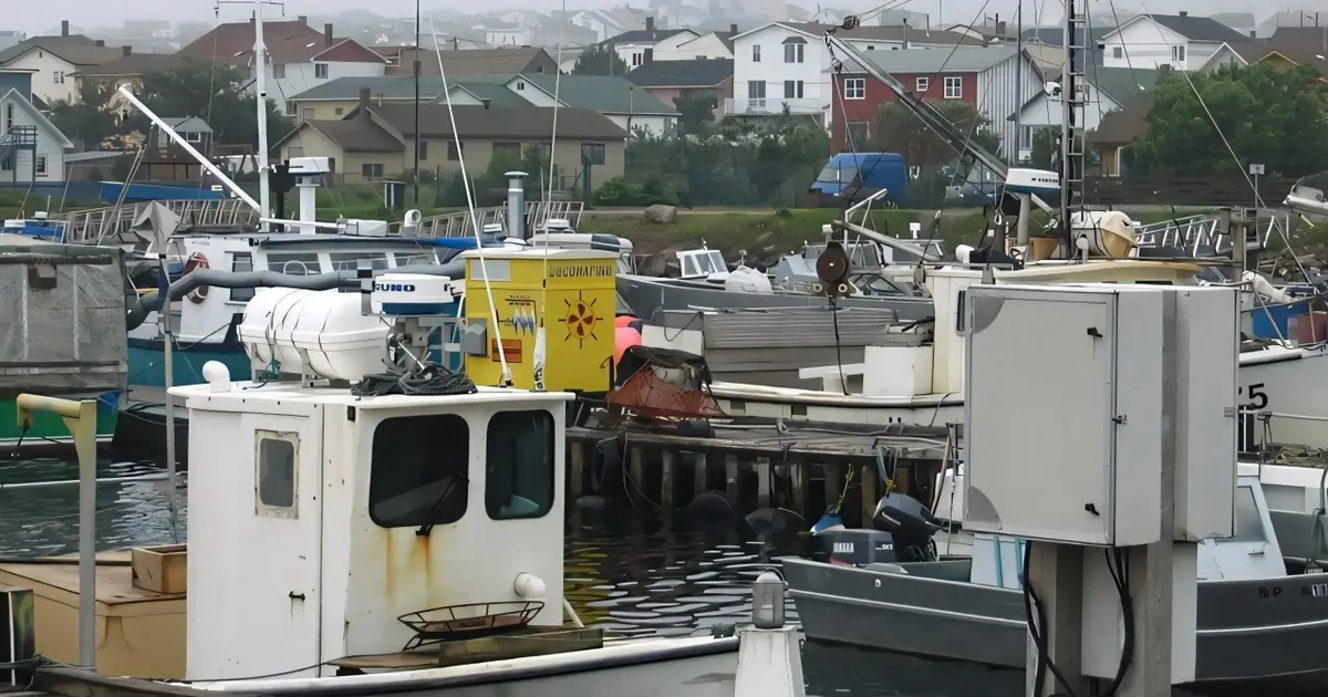 Industrial fisheries discarded 80,000 metric tons of fish from 1950 to 2022, study finds