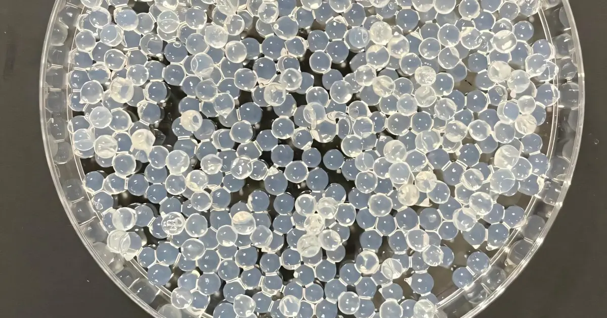 Inspired by nature, scientists engineer tiny 'nitrogen factories' that could help future cereal crops