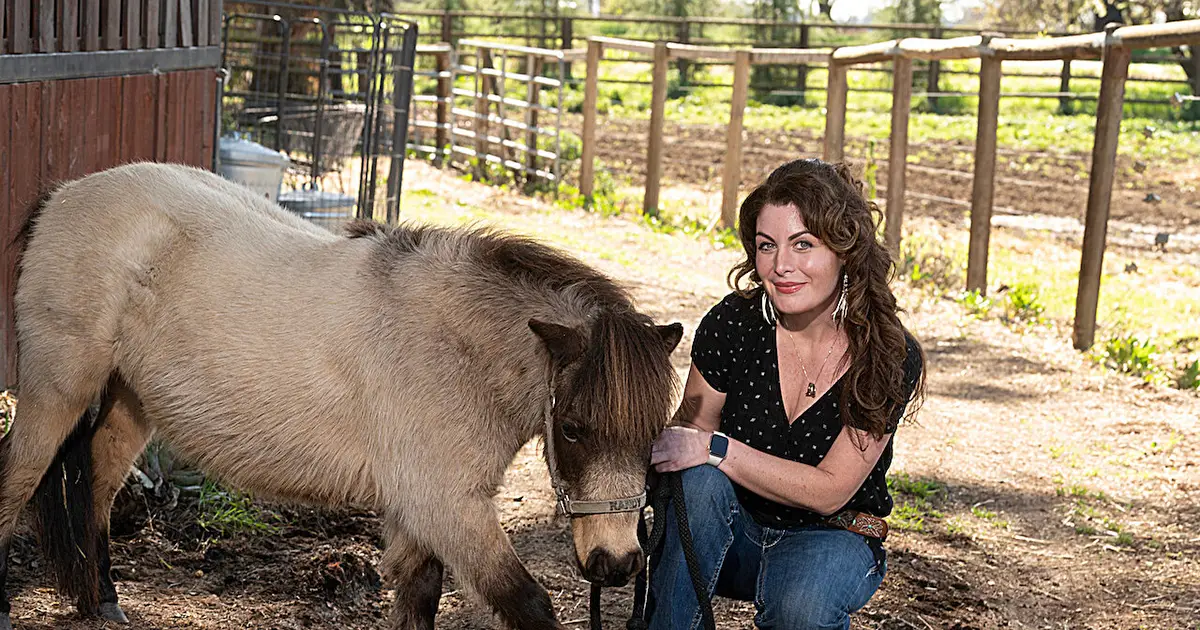 Just 3 minutes with miniature horses and donkeys improves mood of teens
