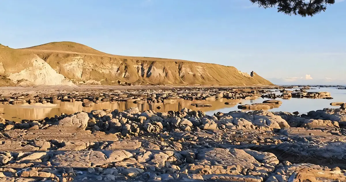 Kaikōura erosion monitoring holds answers for world's rock coastlines