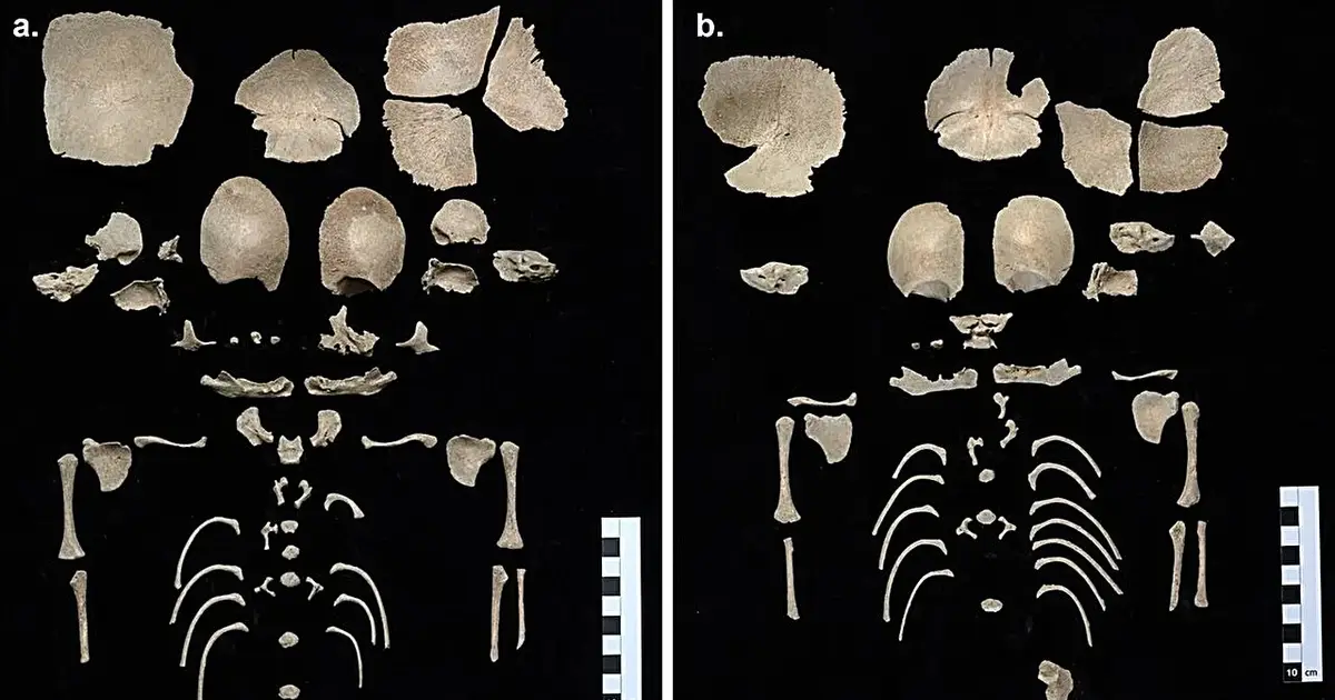 Laid to rest with care: Ancient infants, perhaps twins, found in 1,200-year-old latrine