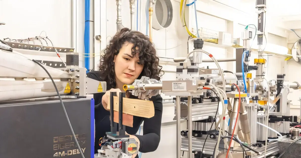 Palm-leaf manuscripts reveal traces of their preparation through X-rays and machine learning