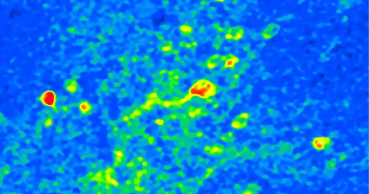 Learning reorganizes neural activity patterns to help distinguish important smells