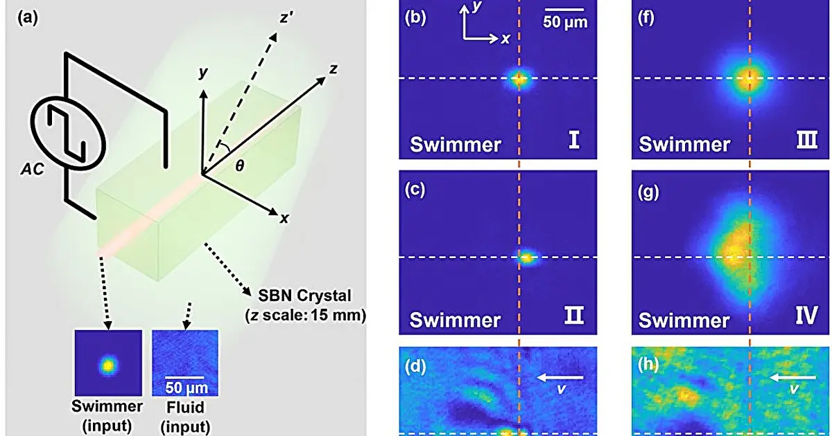 Light beam 'swims' upstream through a quantum fluid by violating Newton's third law