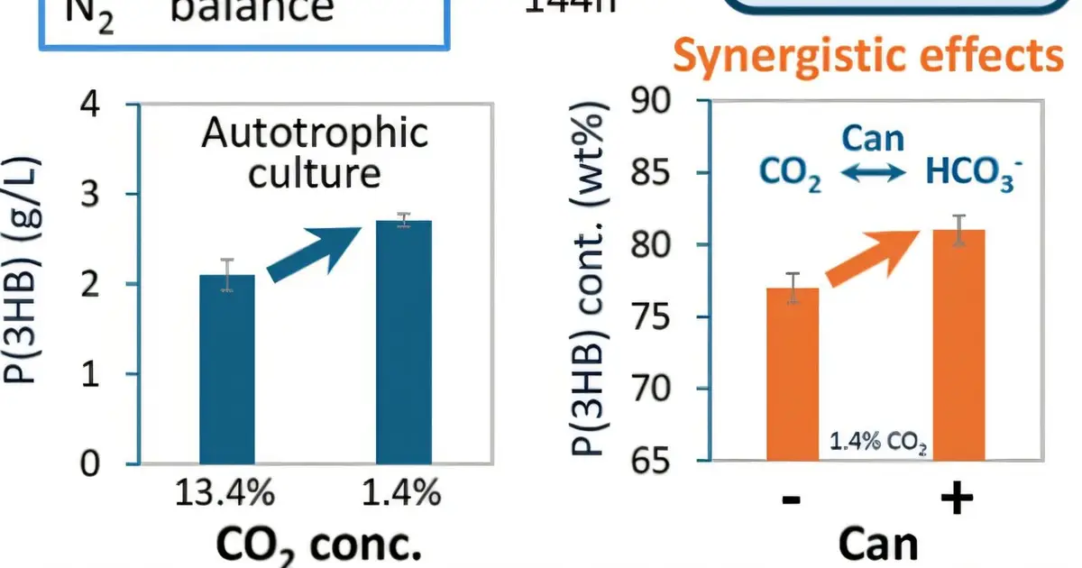 Low carbon dioxide levels improve microbial production of biodegradable plastic