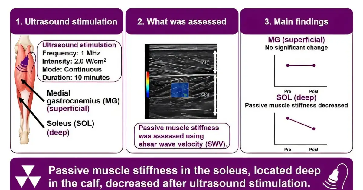 Ultrasound may offer a noninvasive way to manage deep muscle stiffness