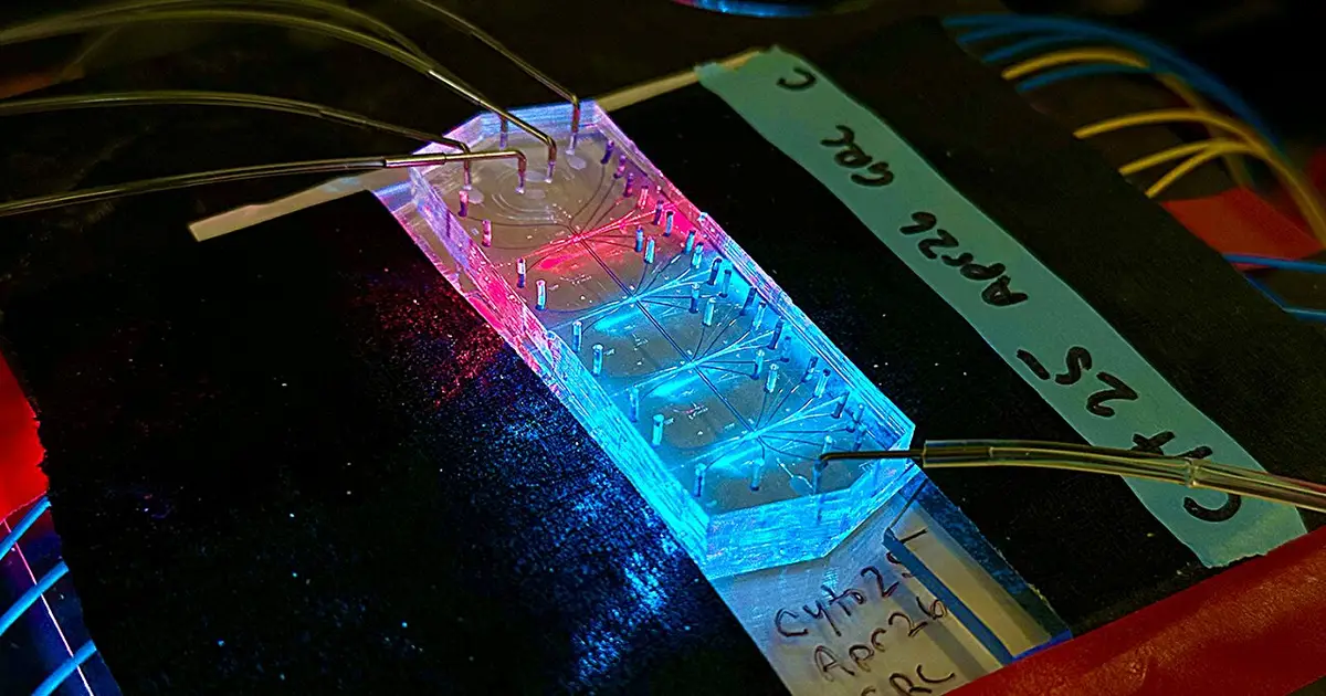 Microfluidic device tracks cell 'squishiness' faster and more reliably than standard methods