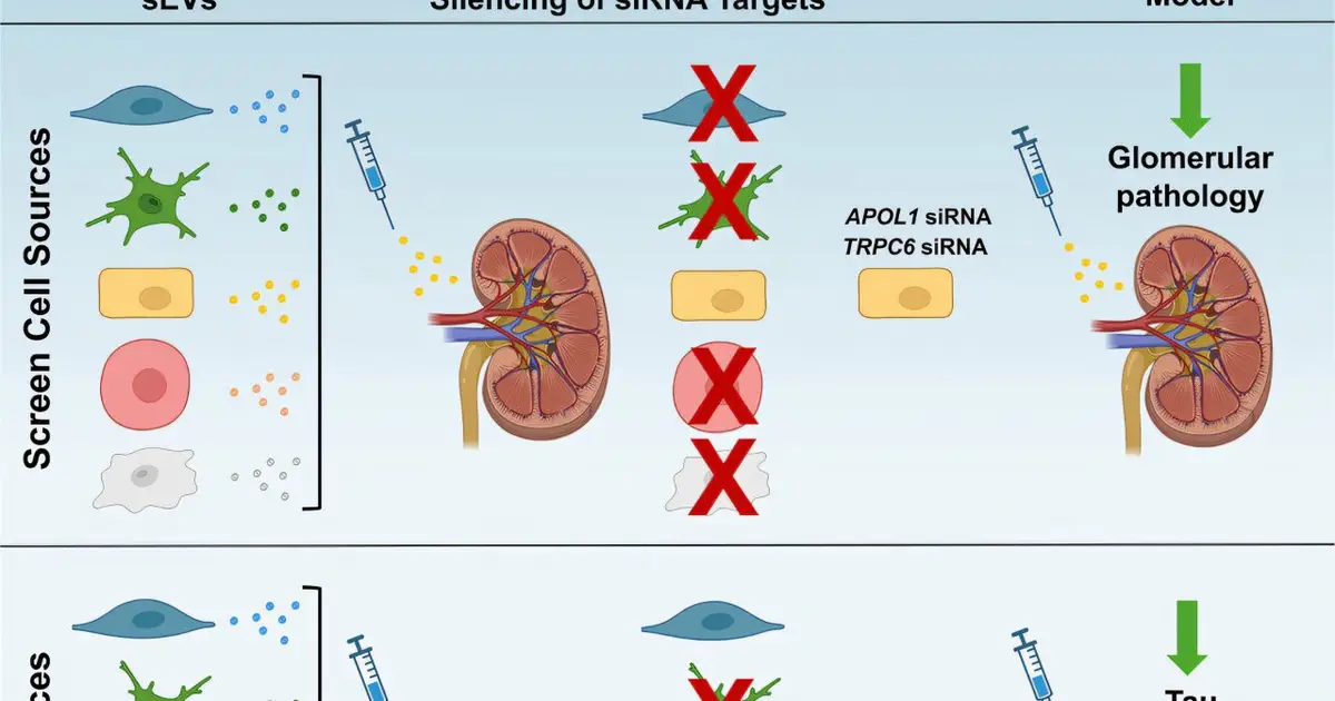 Medicine's next leap: Delivering gene therapies exactly where they're needed