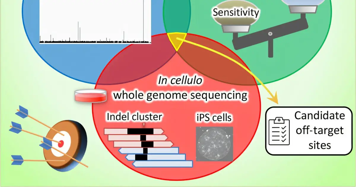 CRISPR safety check evaluates intended and unintended mutations