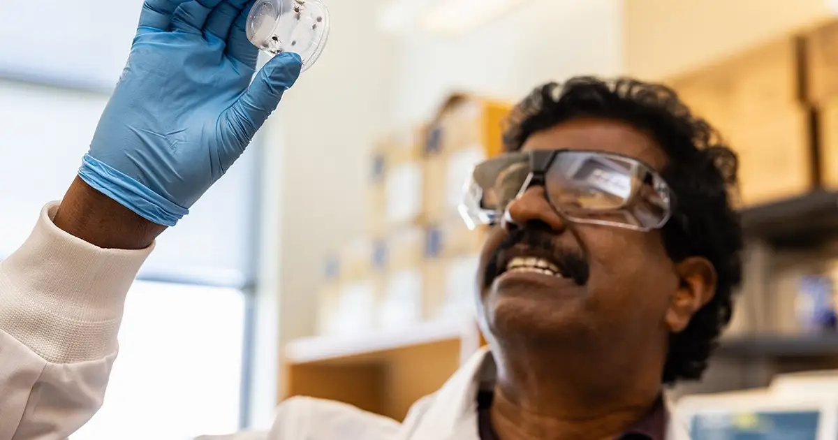 Testing innovation speeds up detection of deadly tick-borne disease