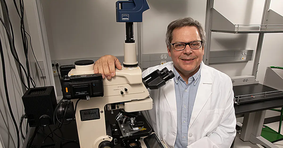 New blood biomarkers reveal how common muscular dystrophy treatment may impair overall growth