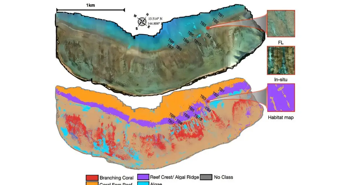 New imaging technologies offer a clearer view of coral reef change