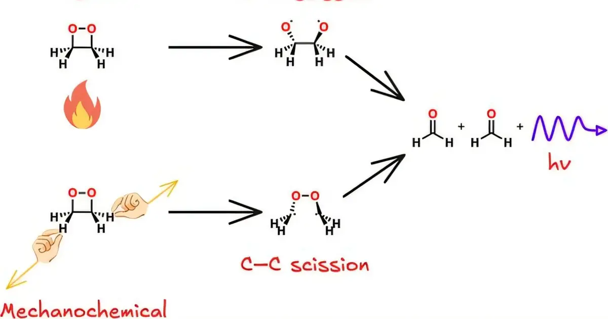 Unexpected bond-breaking order reveals a new path to bioluminescence