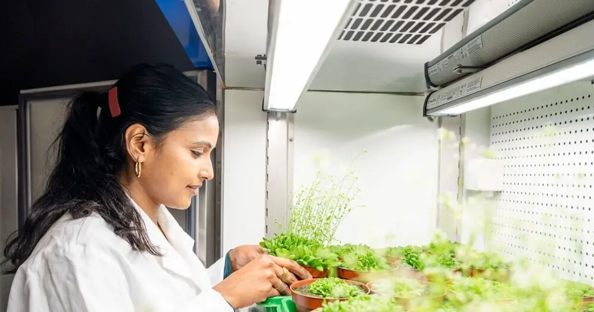 Discovery of enzymes that control pores on leaf surfaces could lead to drought-resistant crops