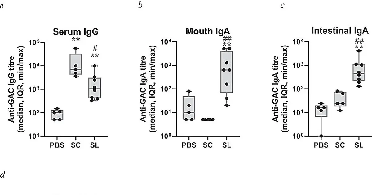 Needle-free Strep A vaccine triggers local and bodywide immune responses in mice