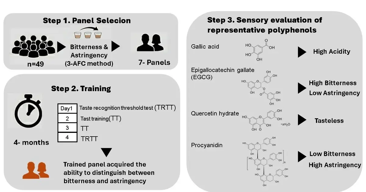 Polyphenol structures reveal why tea, cocoa and fruit compounds taste so different