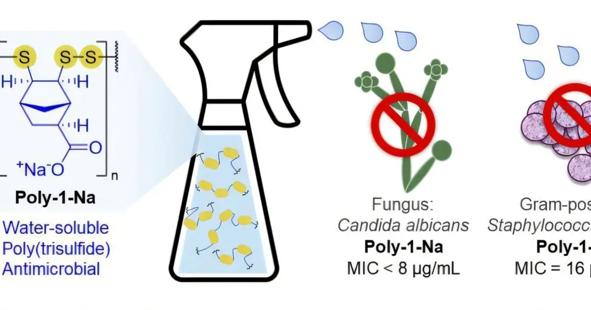 Breakthrough sulfur polymer kills dangerous fungi and bacteria while sparing human and plant cells