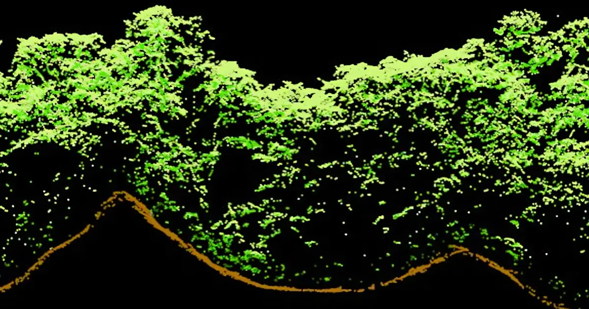 Old-growth tropical forests bear lasting legacy of ancient Maya civilization